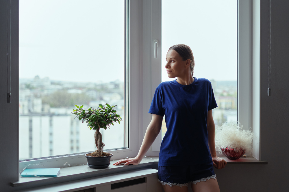 High Point Window Styles